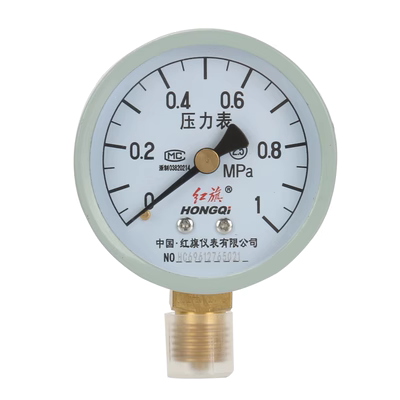 Đồng hồ đo áp suất xuyên tâm Hongqi Y-60 0-1.6mpa áp suất không khí áp suất nước độ chính xác cao máy đo áp suất điều hòa đồng hồ đo chênh áp dwyer đo áp suất